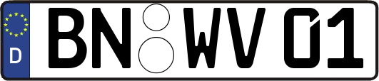 BN-WV01