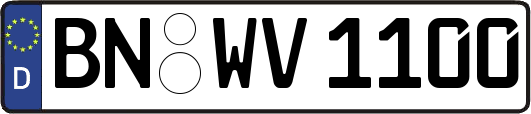 BN-WV1100