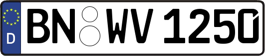 BN-WV1250