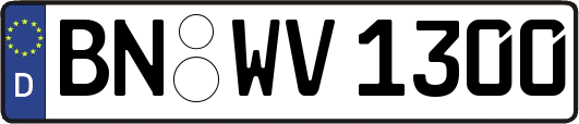 BN-WV1300