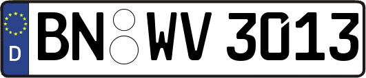 BN-WV3013