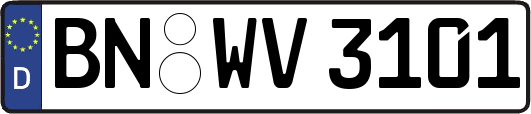 BN-WV3101