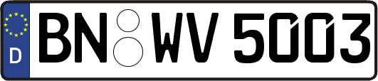 BN-WV5003