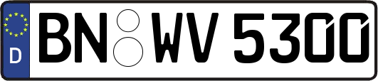 BN-WV5300