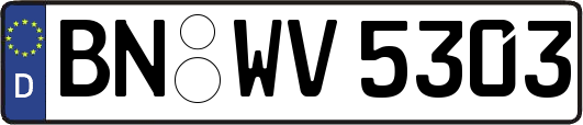 BN-WV5303