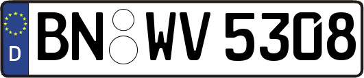 BN-WV5308