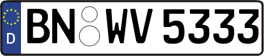 BN-WV5333