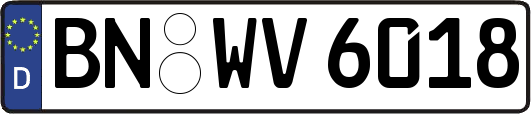 BN-WV6018