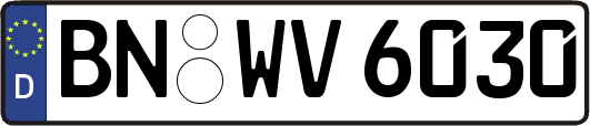 BN-WV6030