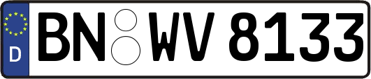 BN-WV8133