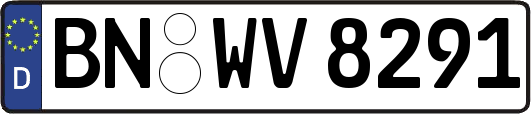 BN-WV8291