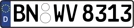 BN-WV8313