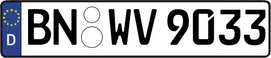 BN-WV9033