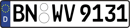 BN-WV9131