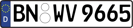 BN-WV9665