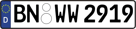 BN-WW2919