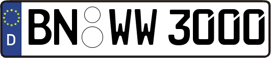 BN-WW3000