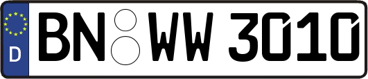 BN-WW3010