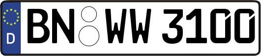 BN-WW3100
