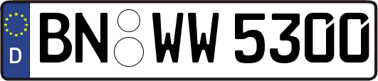 BN-WW5300