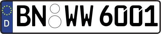BN-WW6001