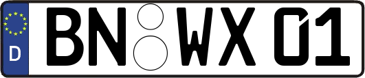 BN-WX01