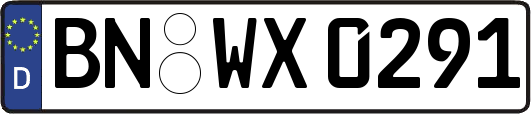 BN-WX0291