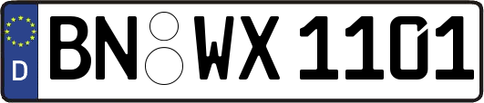BN-WX1101