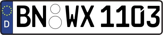 BN-WX1103