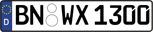 BN-WX1300