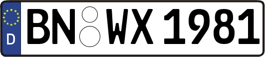 BN-WX1981