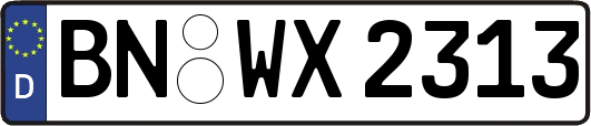 BN-WX2313