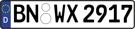 BN-WX2917