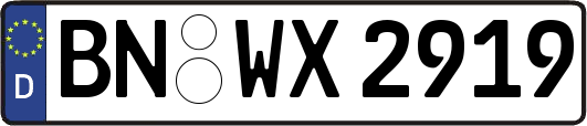 BN-WX2919