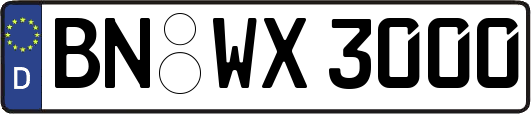 BN-WX3000