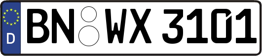 BN-WX3101