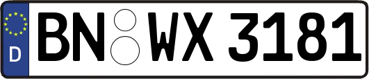 BN-WX3181