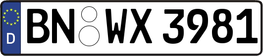 BN-WX3981