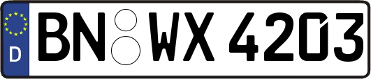 BN-WX4203
