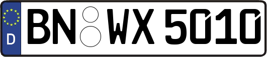 BN-WX5010