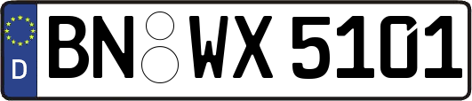 BN-WX5101