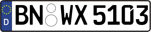 BN-WX5103
