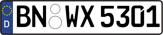 BN-WX5301