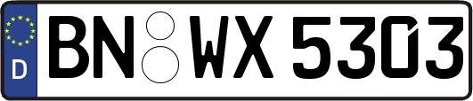 BN-WX5303