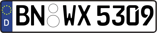 BN-WX5309