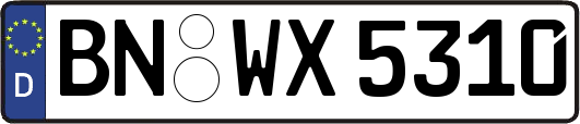 BN-WX5310