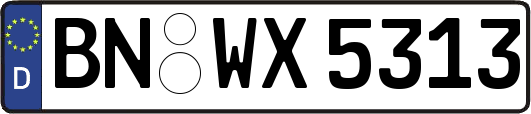 BN-WX5313
