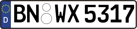 BN-WX5317