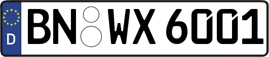 BN-WX6001