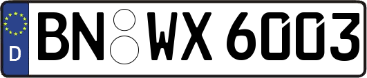 BN-WX6003